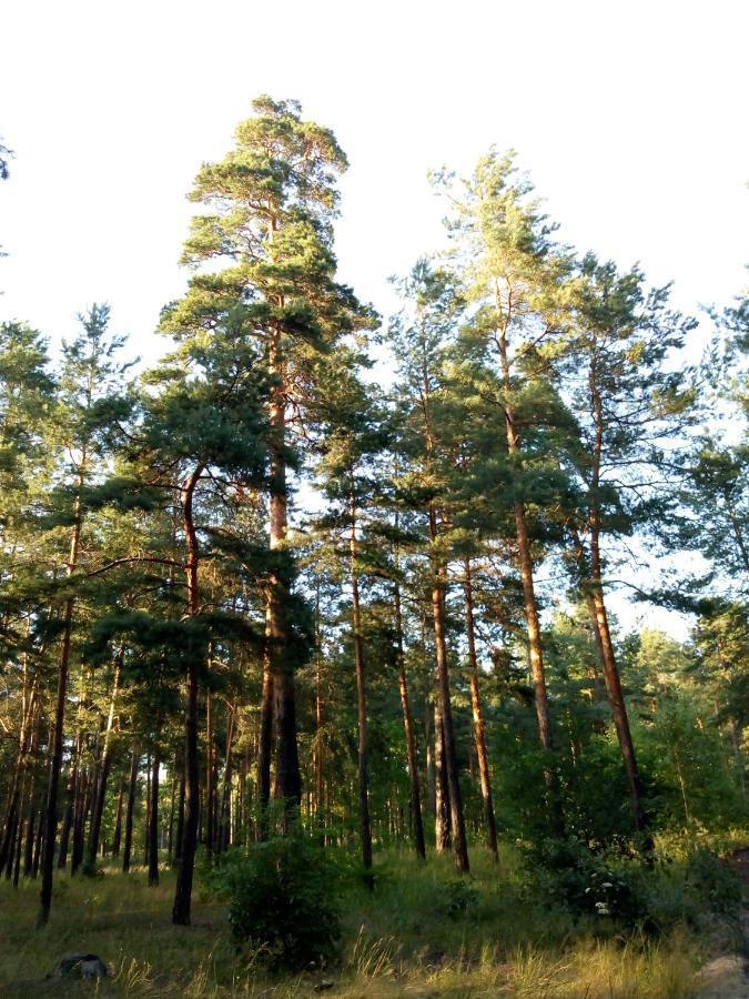Guest House Kiev Forest Exterior foto